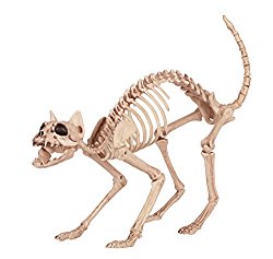 skeletoncat