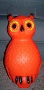 blowmoldowl