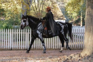 horseskeletonpumpkinrider